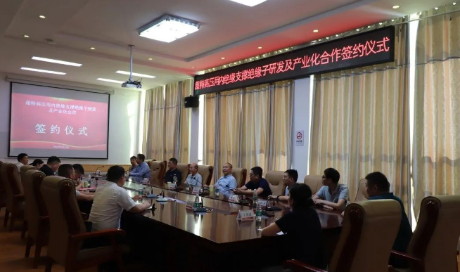 芦溪县举行超特高压用内绝缘支撑绝缘子研发